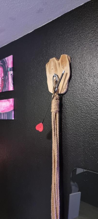 Le Coin Des Desirs Bdsm Appartement Straatsburg Buitenkant foto